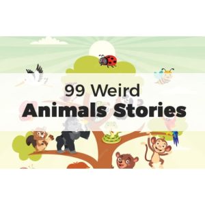 99 Weird Animals Stories – eBook